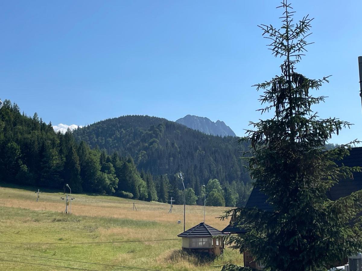 Apartamenty Polana Pod Nosalem - Zachod Zakopane Exterior photo